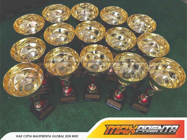 TROPHY - Image 2