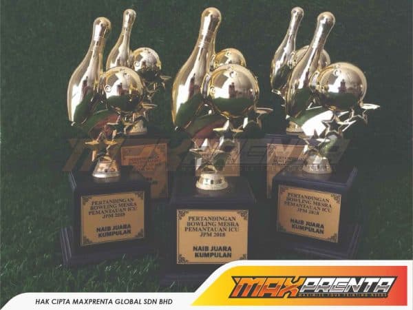 TROPHY - Image 5
